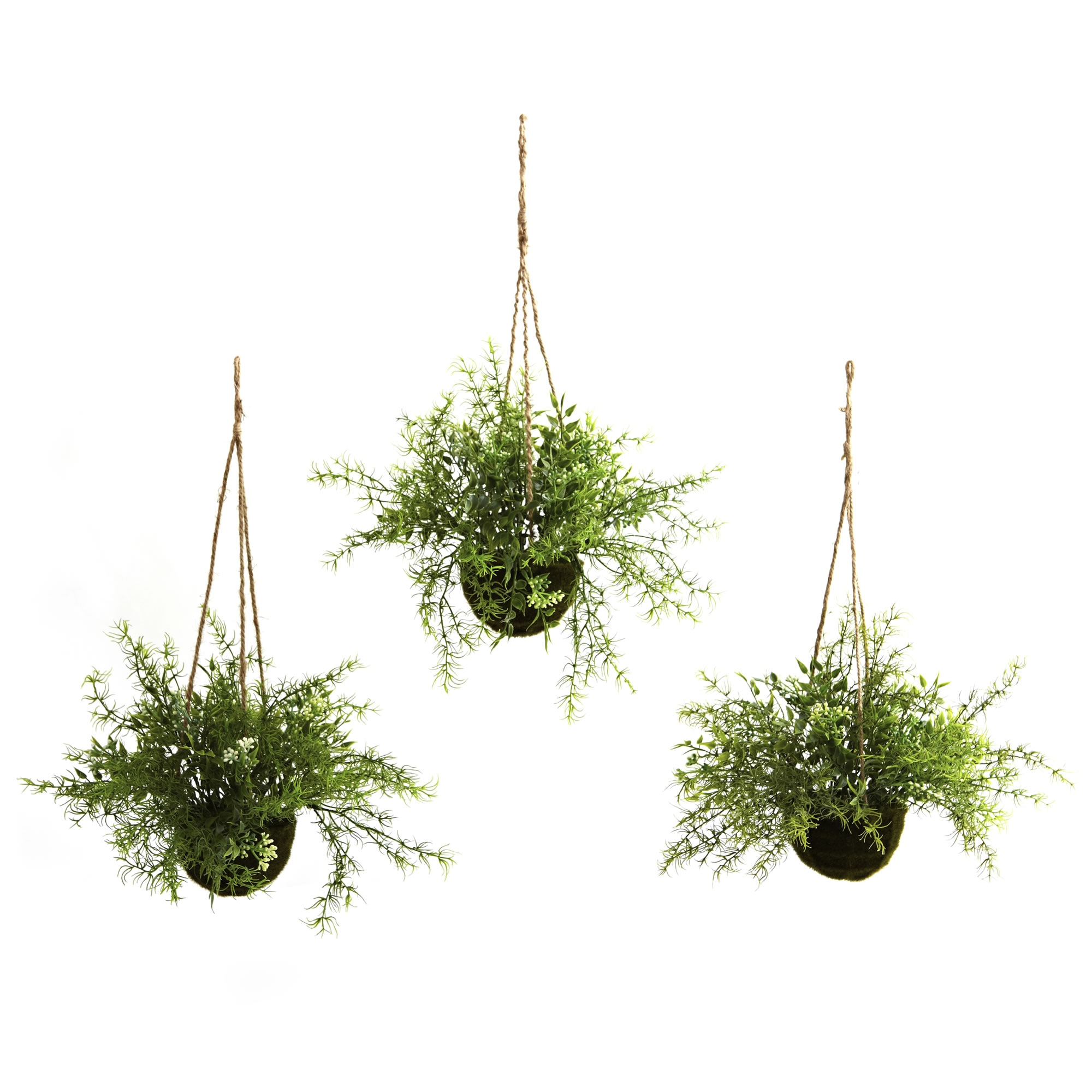 Hanging Baskets