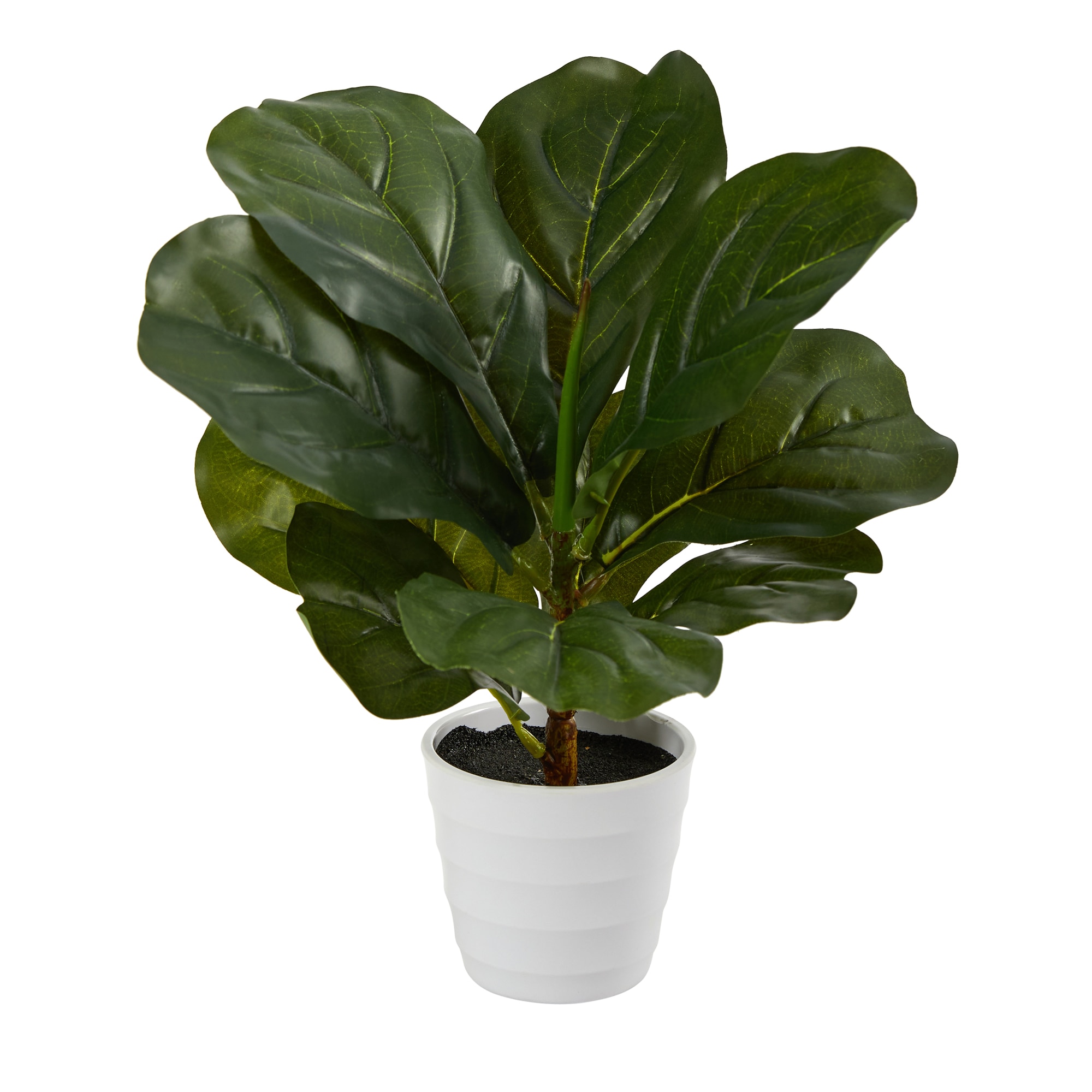 11 Inch Faux Fiddle Leaf Plant in White Planter Real Touch Indoor Decor