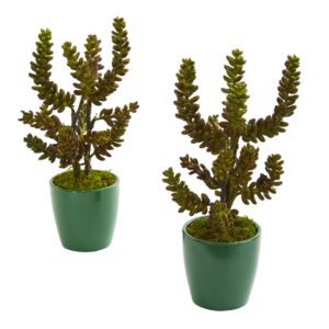 11 Inch Artificial Succulent Plant Set of 2 Green Planters Indoor Decor