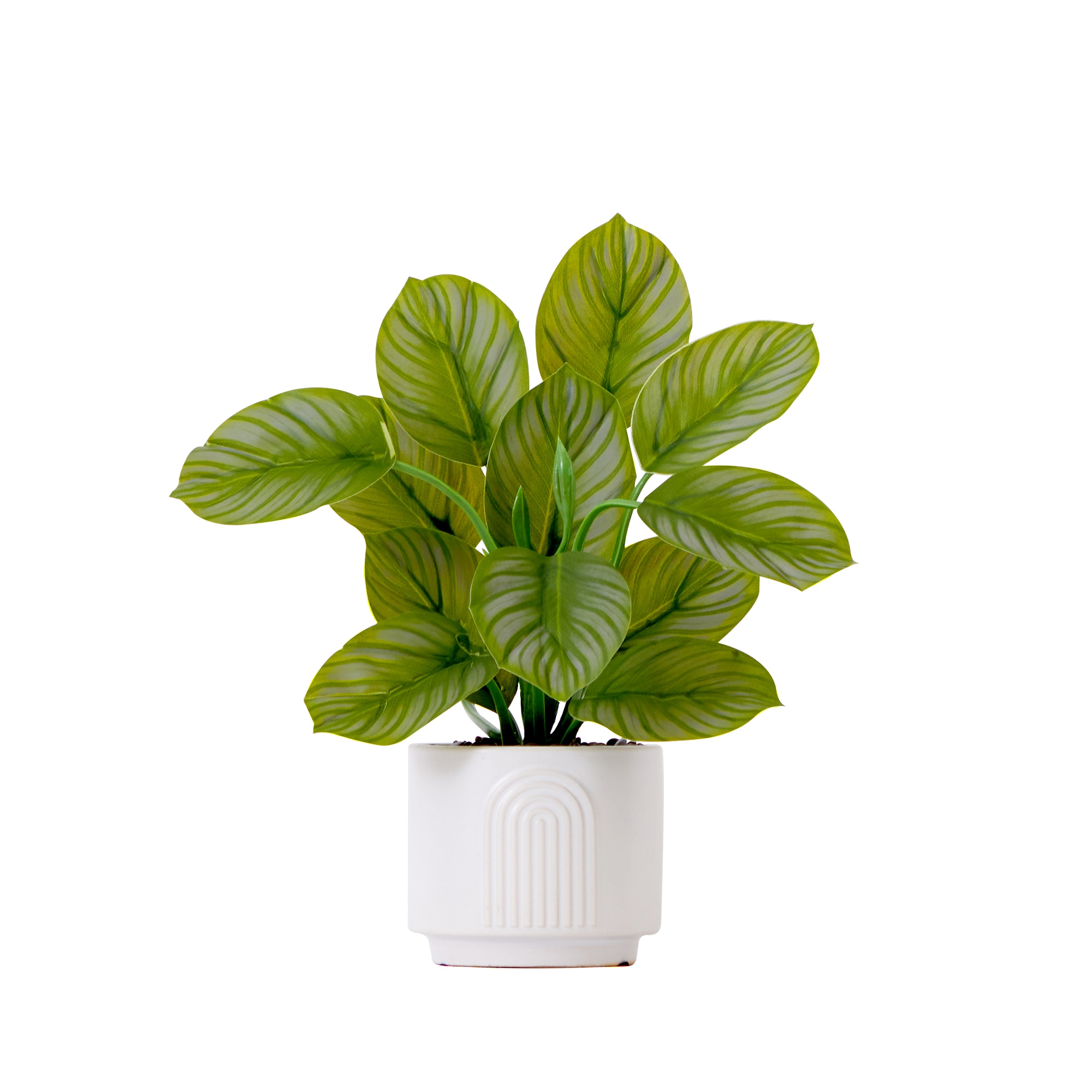 12 Inch Artificial Calathea Plant with Decorative Planter Tropical Leaf Pattern