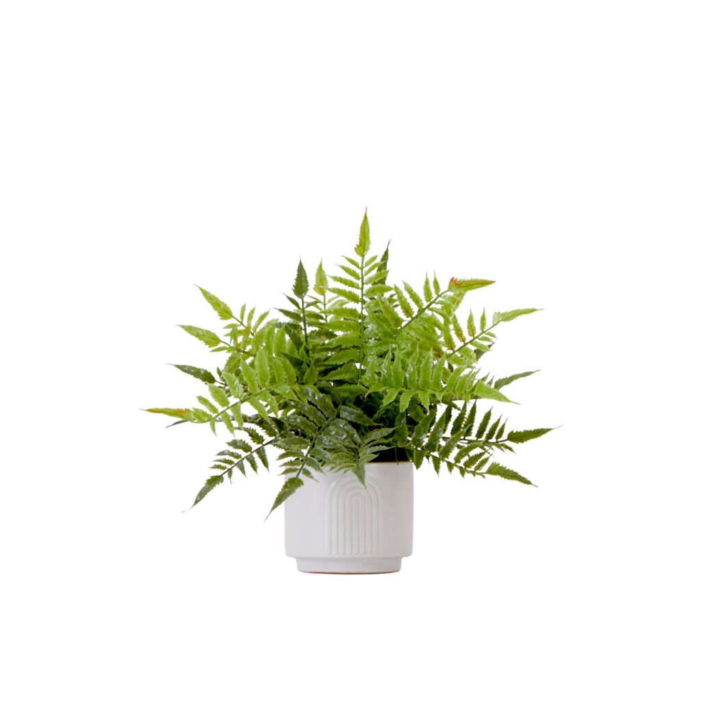 13 Inch Artificial Boston Fern Plant with Decorative Planter Lifelike Greenery