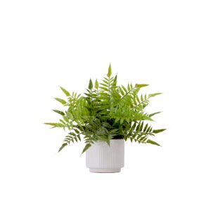 13 Inch Artificial Boston Fern Plant with Decorative Planter Lifelike Greenery