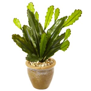 13 Inch Cactus Plant in Glazed Clay Pot Desert Decor Green Indoor Succulent