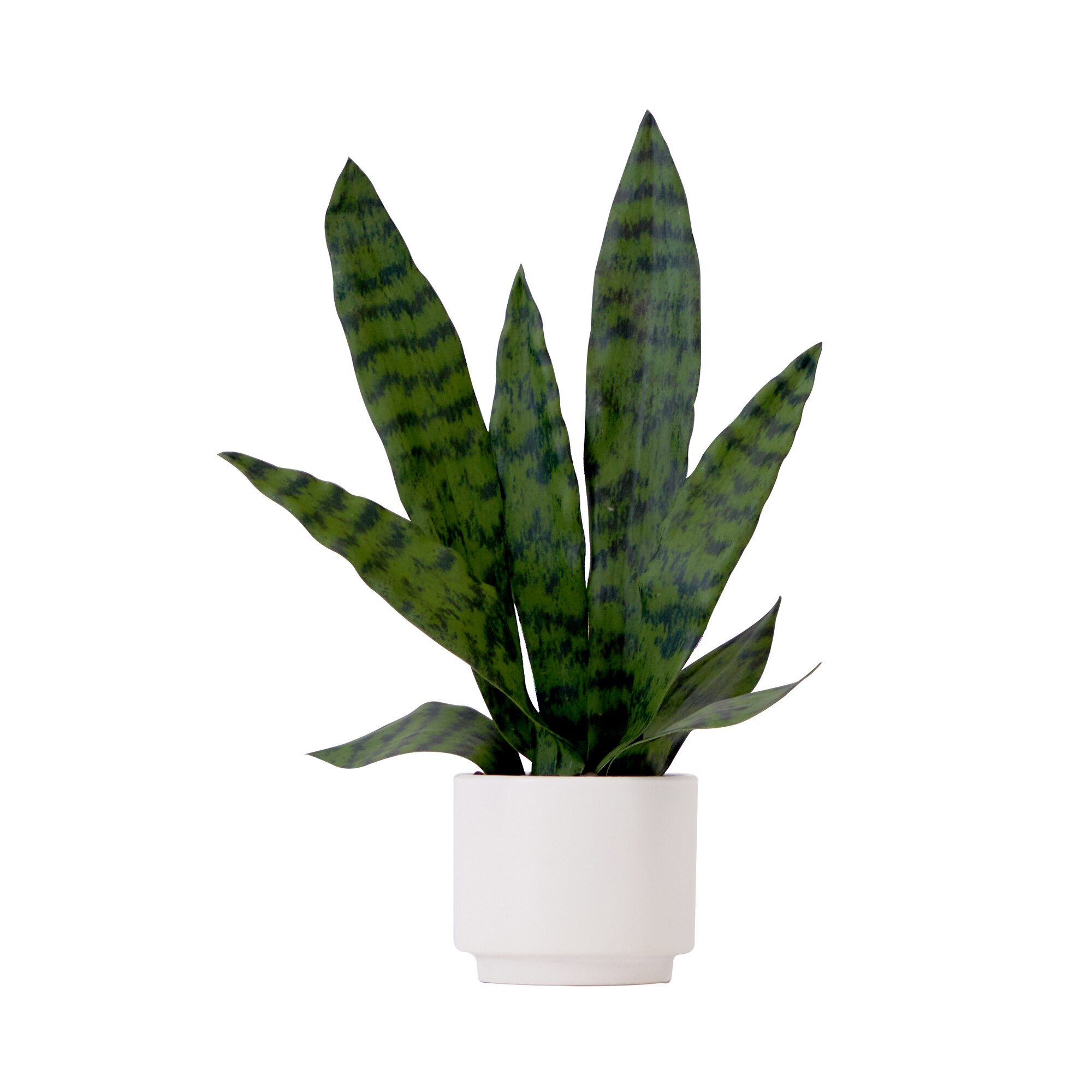 16 Inch Artificial Sansevieria Snake Plant with Decorative Planter Green Faux
