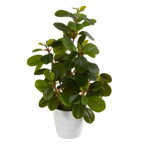 16 Inch Peperomia Artificial Plant with Decorative Planter Greenery Home Decor