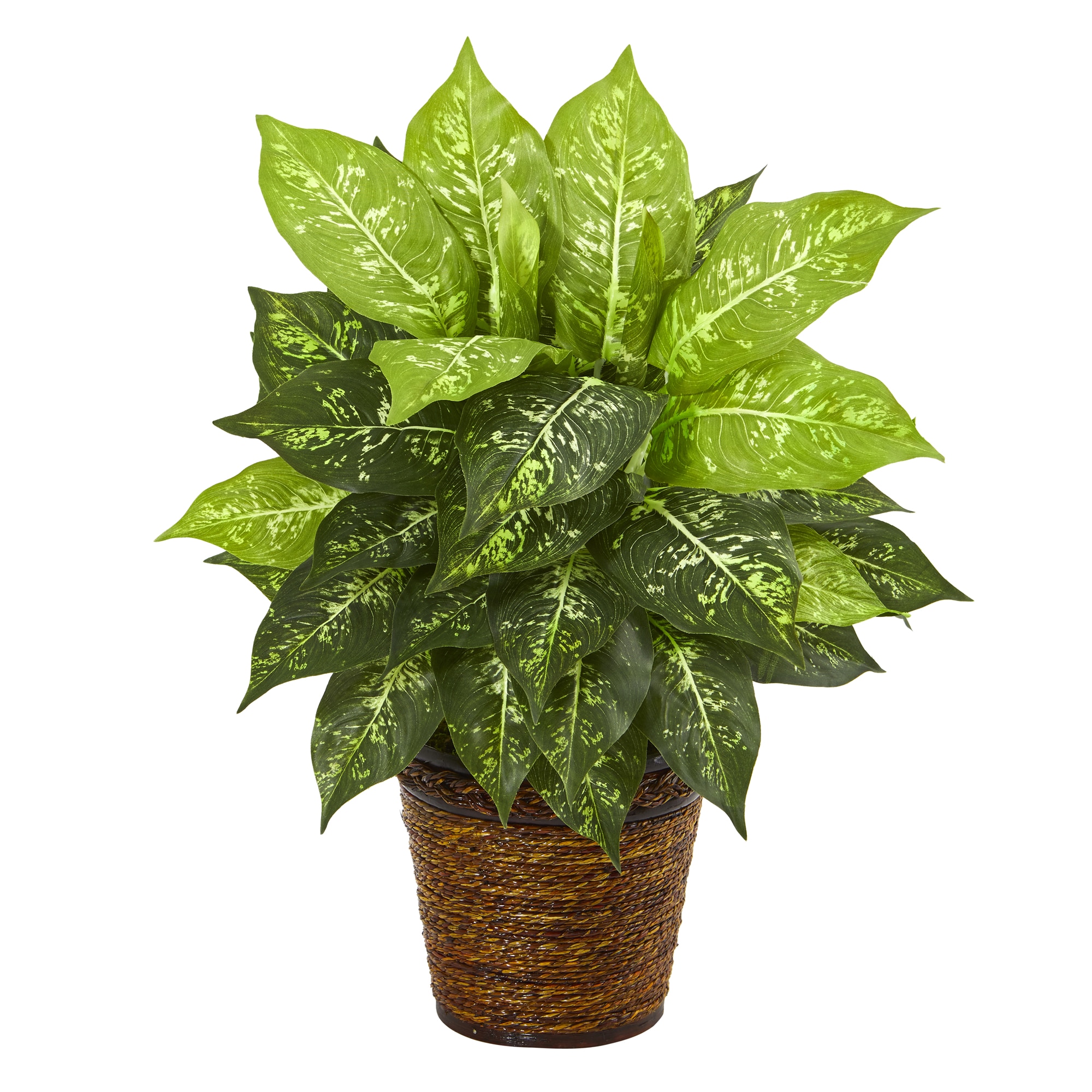 19 Inch Diffenbachia Artificial Plant Green Silk Leaves in Basket Planter