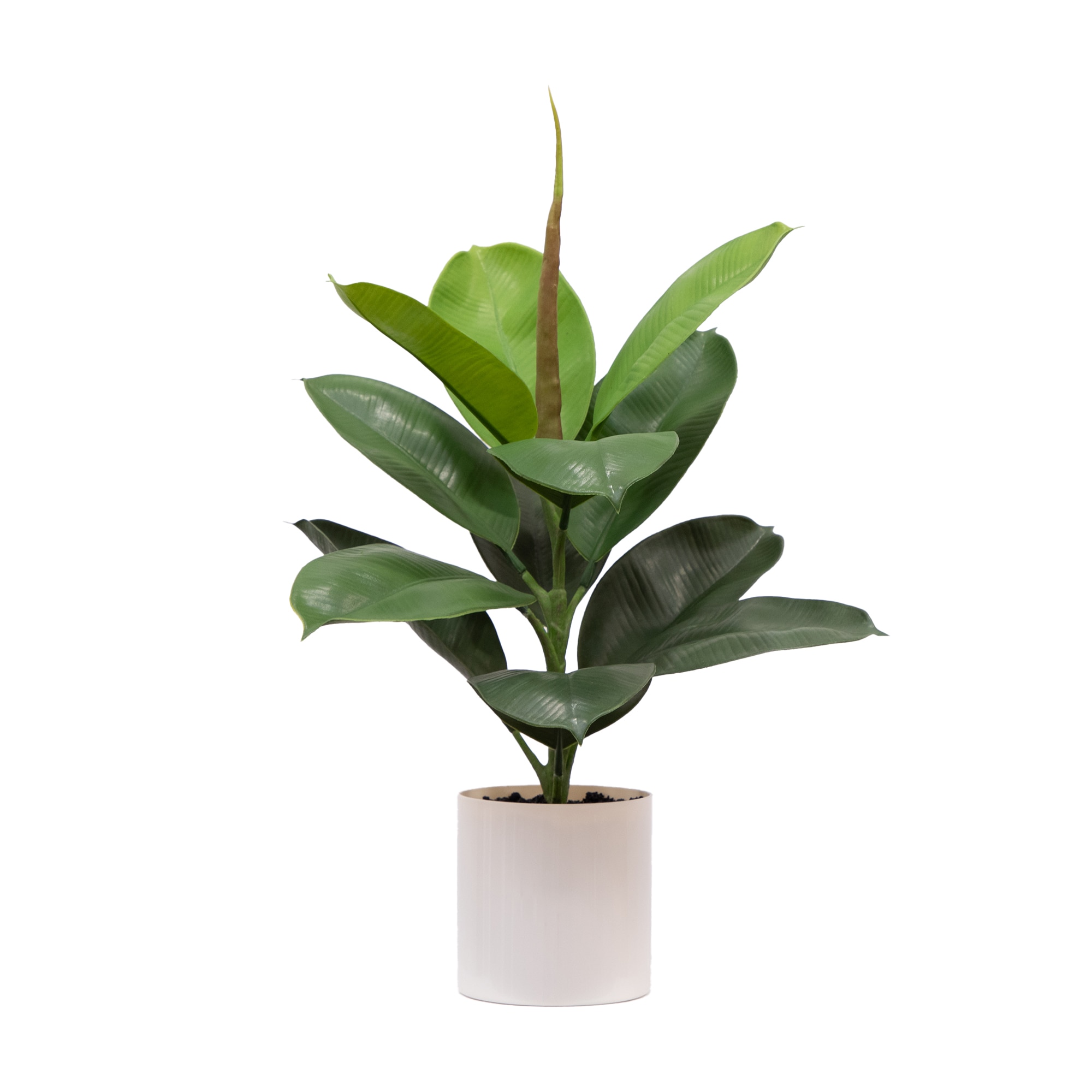 20-In Artificial Fiddle Leaf Fig Plant with Vanilla Plastic Planter Indoor Decor