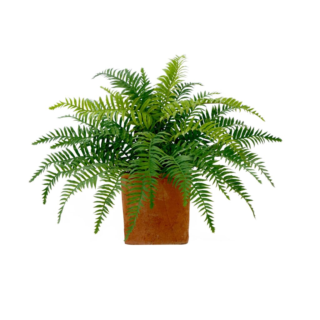 22 Inch Artificial Boston Fern Plant in Decorative Planter Desktop Indoor Decor