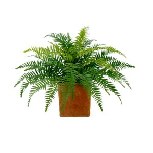 22 Inch Artificial Boston Fern Plant in Decorative Planter Desktop Indoor Decor
