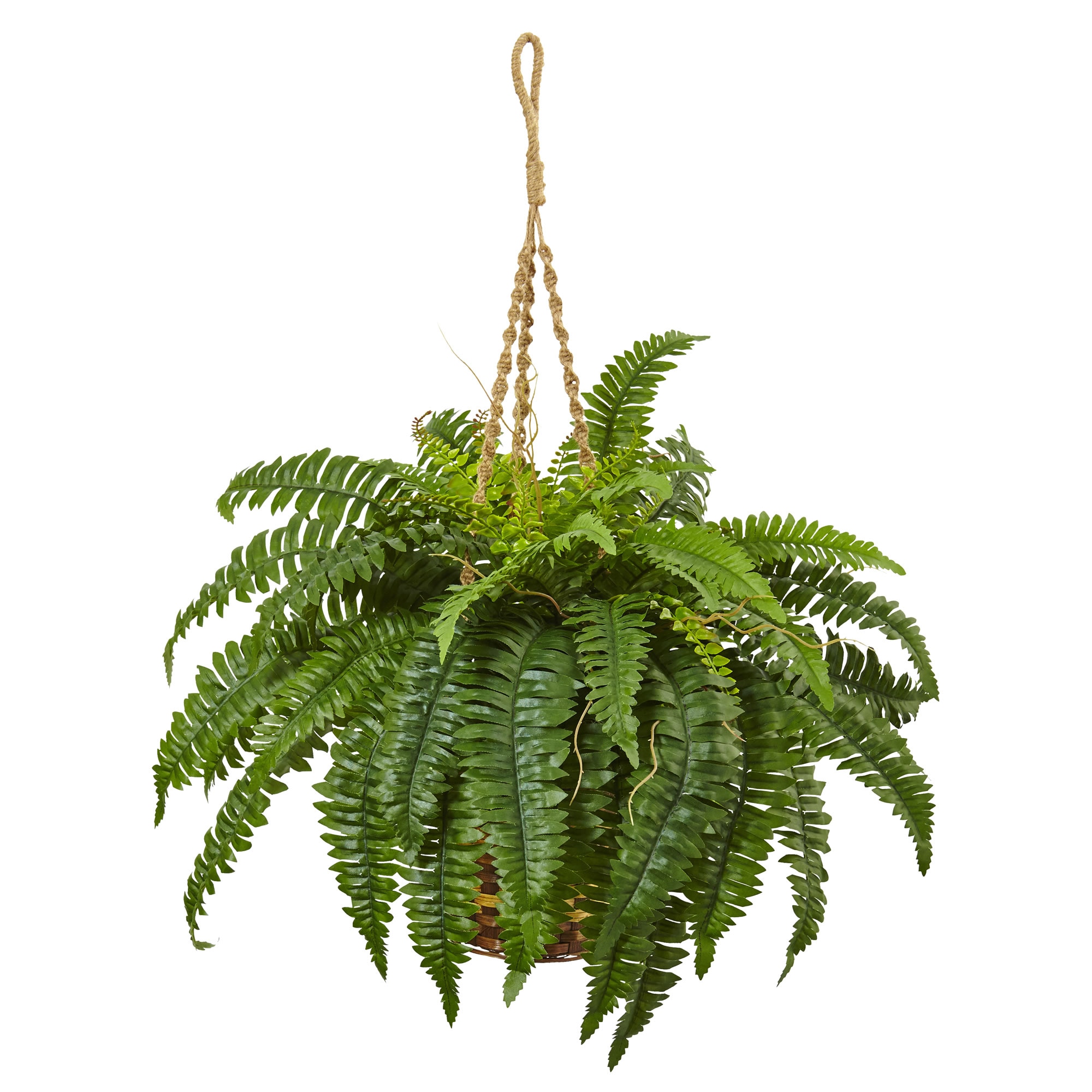 33 Inch Boston Fern Hanging Basket Natural Greenery Cascading Leaves