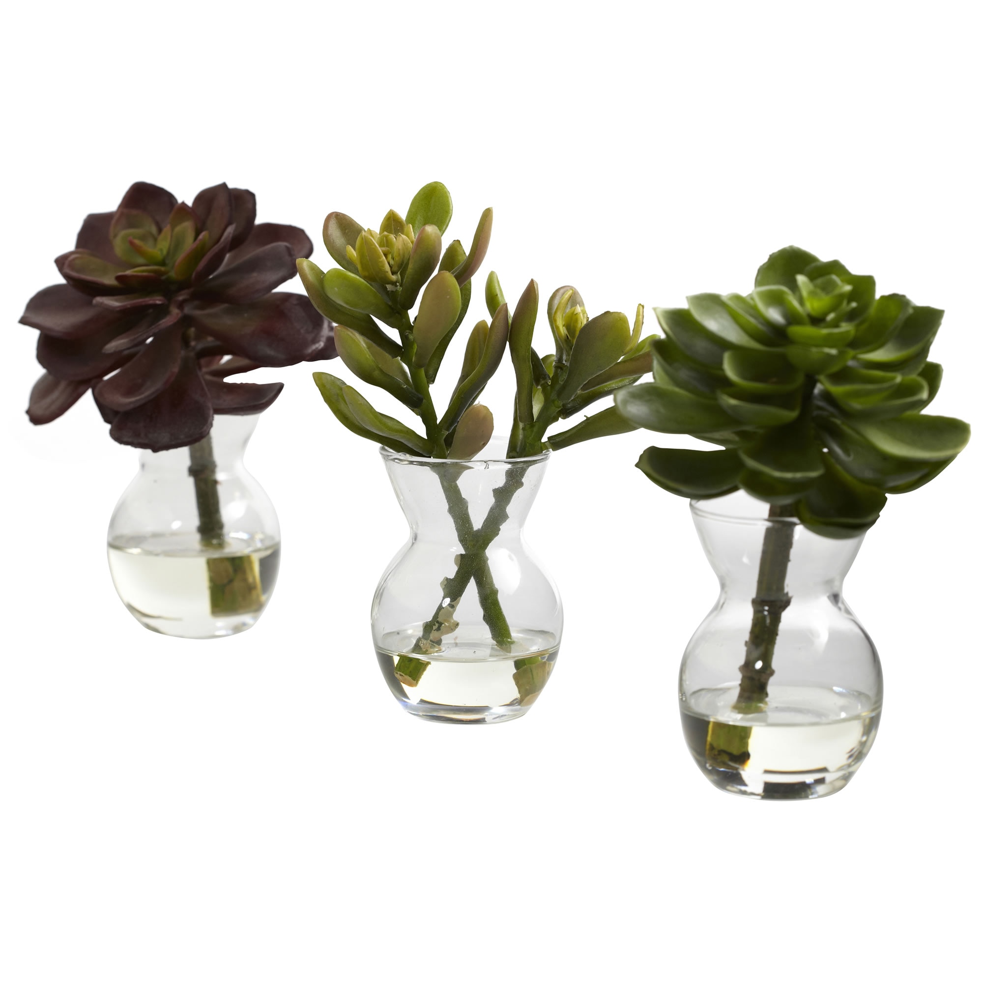 5.5 Inch Succulent Arrangements Set of 3 Faux Plants in Mini Vases with Liquid