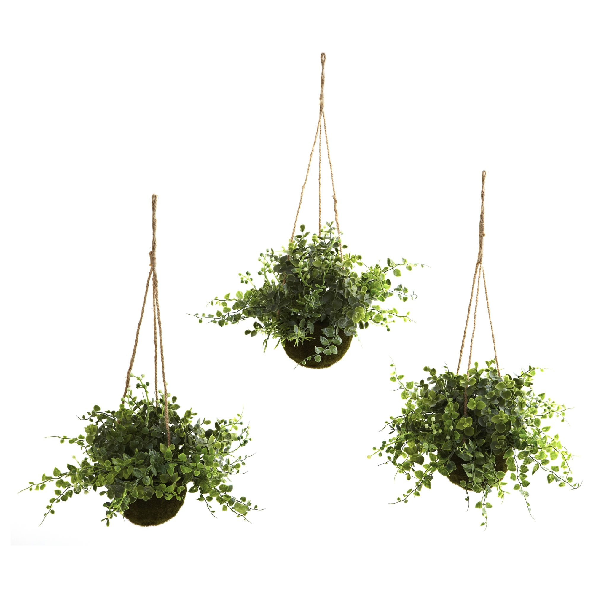 Eucalyptus Maiden Hair Berry Faux Hanging Basket Set of 3 Indoor Decor 9 Inch