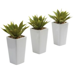 Mini Agave Plant Set of 3 White Planters 9 Inch Indoor Decor Succulent