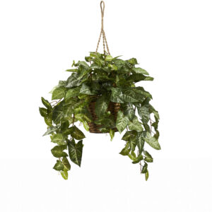 Nepthytis Hanging Basket Artificial Plant Green Cascade 24 Inch Indoor Decor