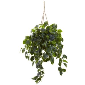 Pothos Hanging Basket UV Resistant Indoor Outdoor 36 Inch with Pot
