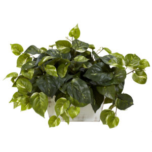 Pothos Silk Plant with Whitewash Planter 14 Inch Indoor Faux Greenery Decor