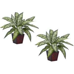 Silver Queen Silk Plant Set of 2 Artificial Realistic Indoor Decor 12 Inch