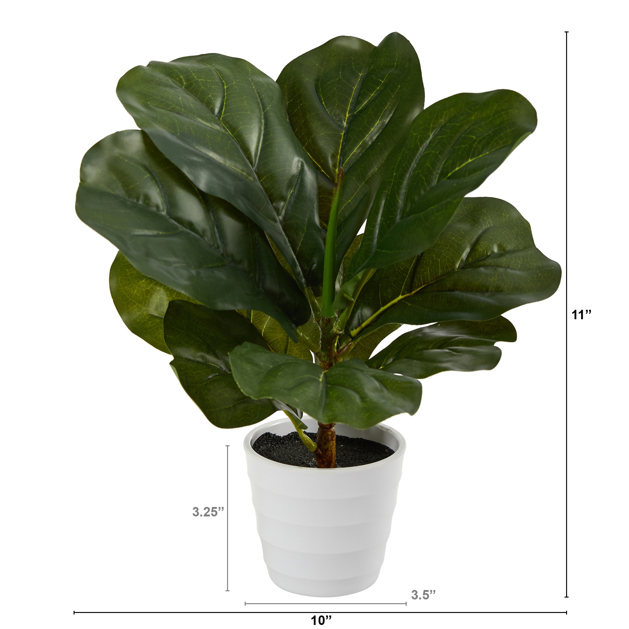 11 Inch Faux Fiddle Leaf Plant in White Planter Real Touch Indoor Decor - Image 2