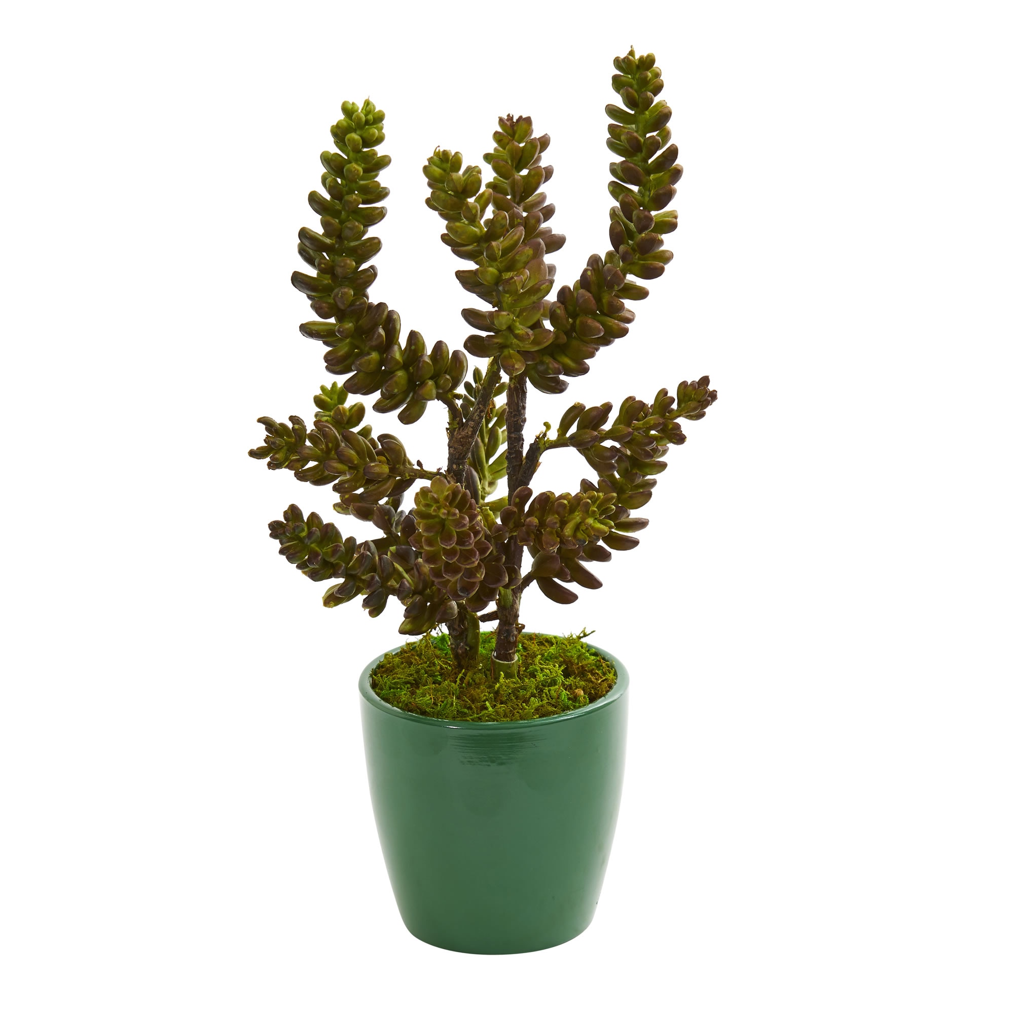 11 Inch Artificial Succulent Plant Set of 2 Green Planters Indoor Decor - Image 2