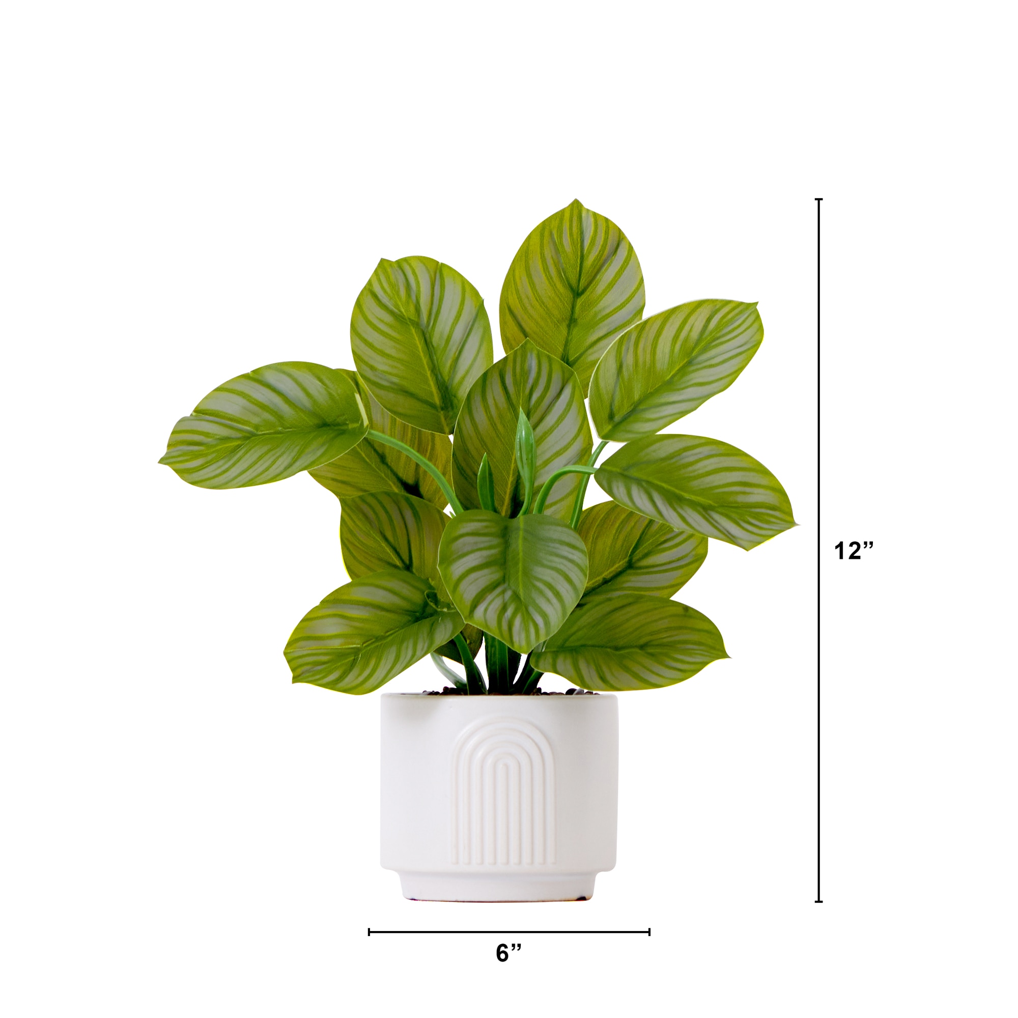 12 Inch Artificial Calathea Plant with Decorative Planter Tropical Leaf Pattern - Image 2