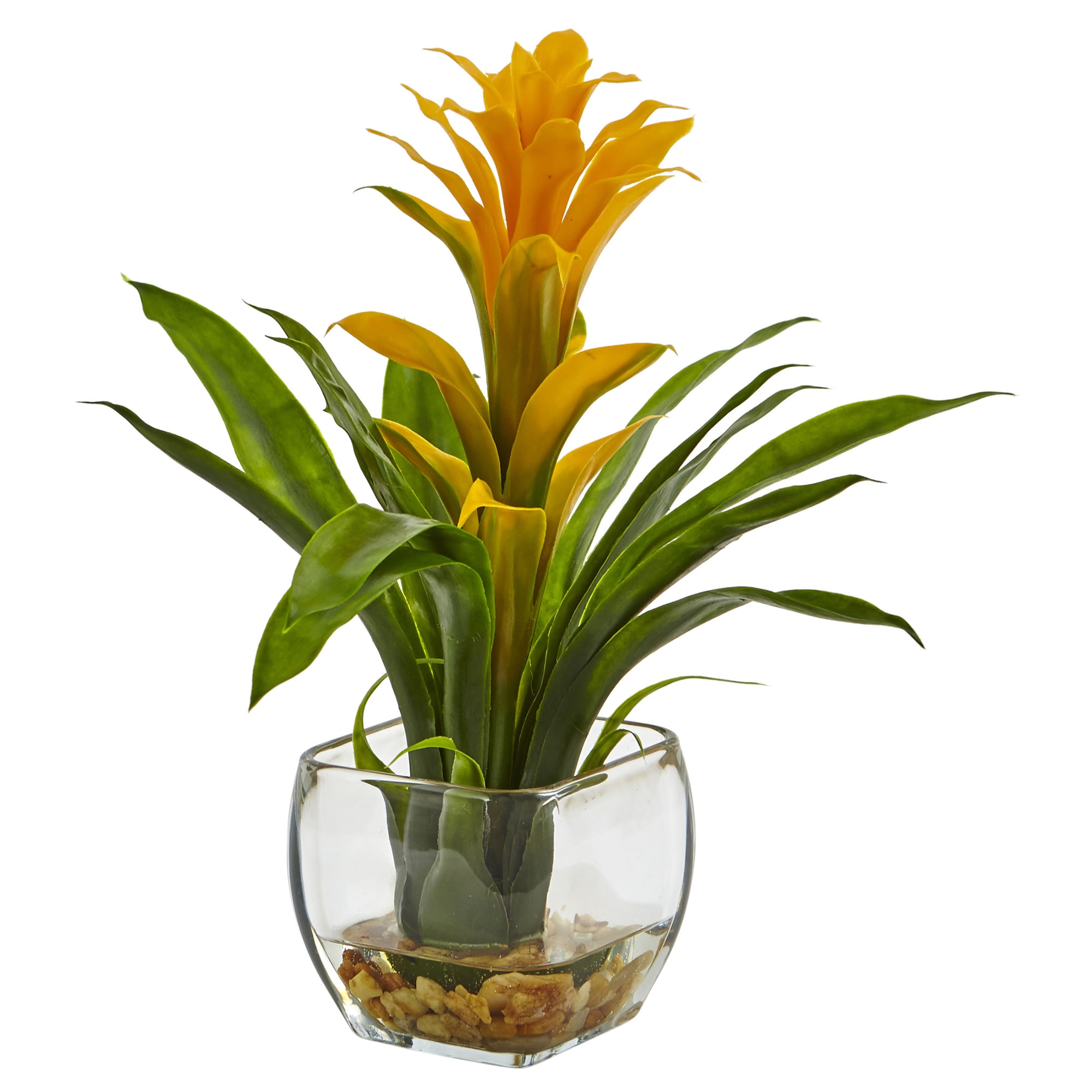 12 Inch Bromeliad Plant Arrangement in Square Glass Vase with Pebbles - Image 2