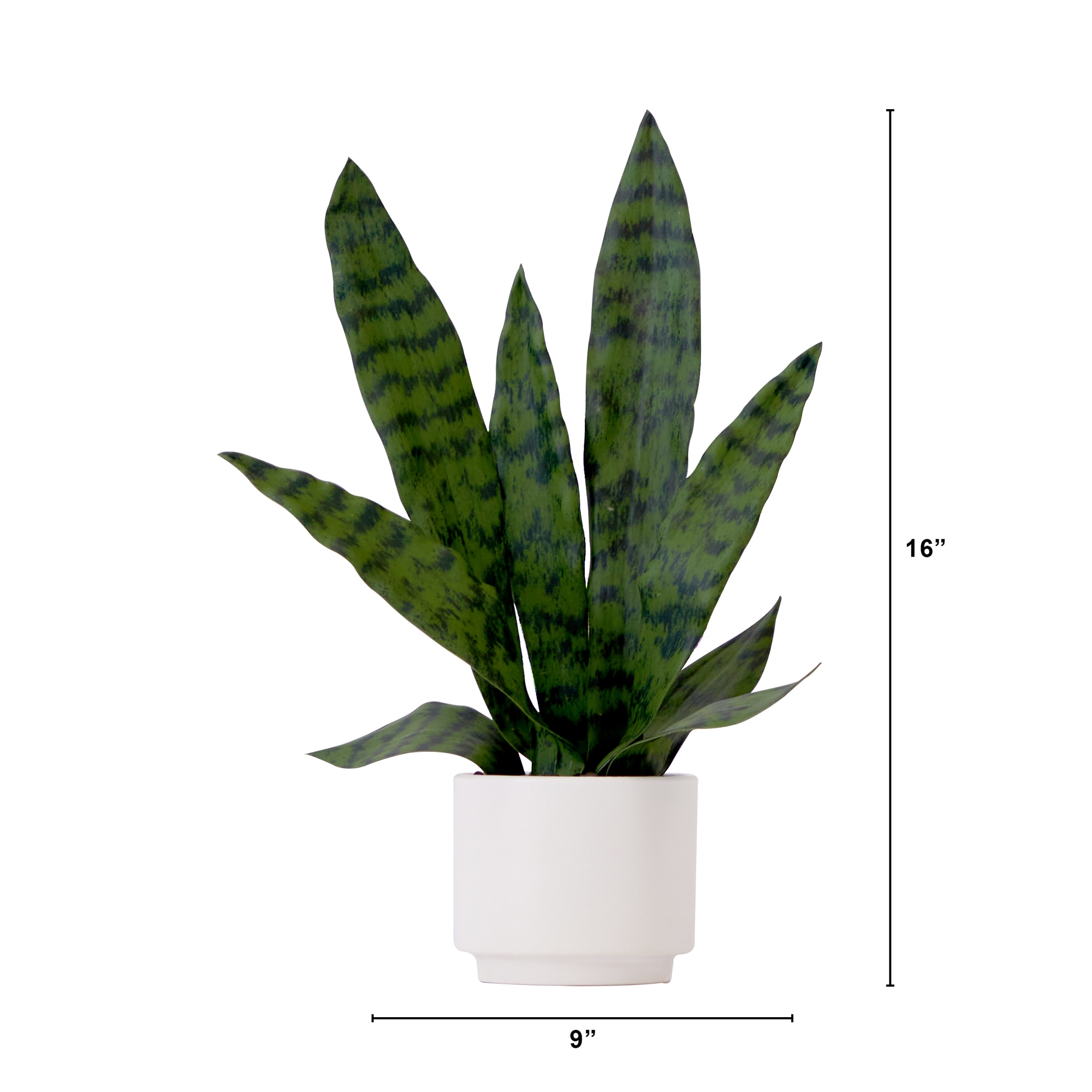 16 Inch Artificial Sansevieria Snake Plant with Decorative Planter Green Faux - Image 2
