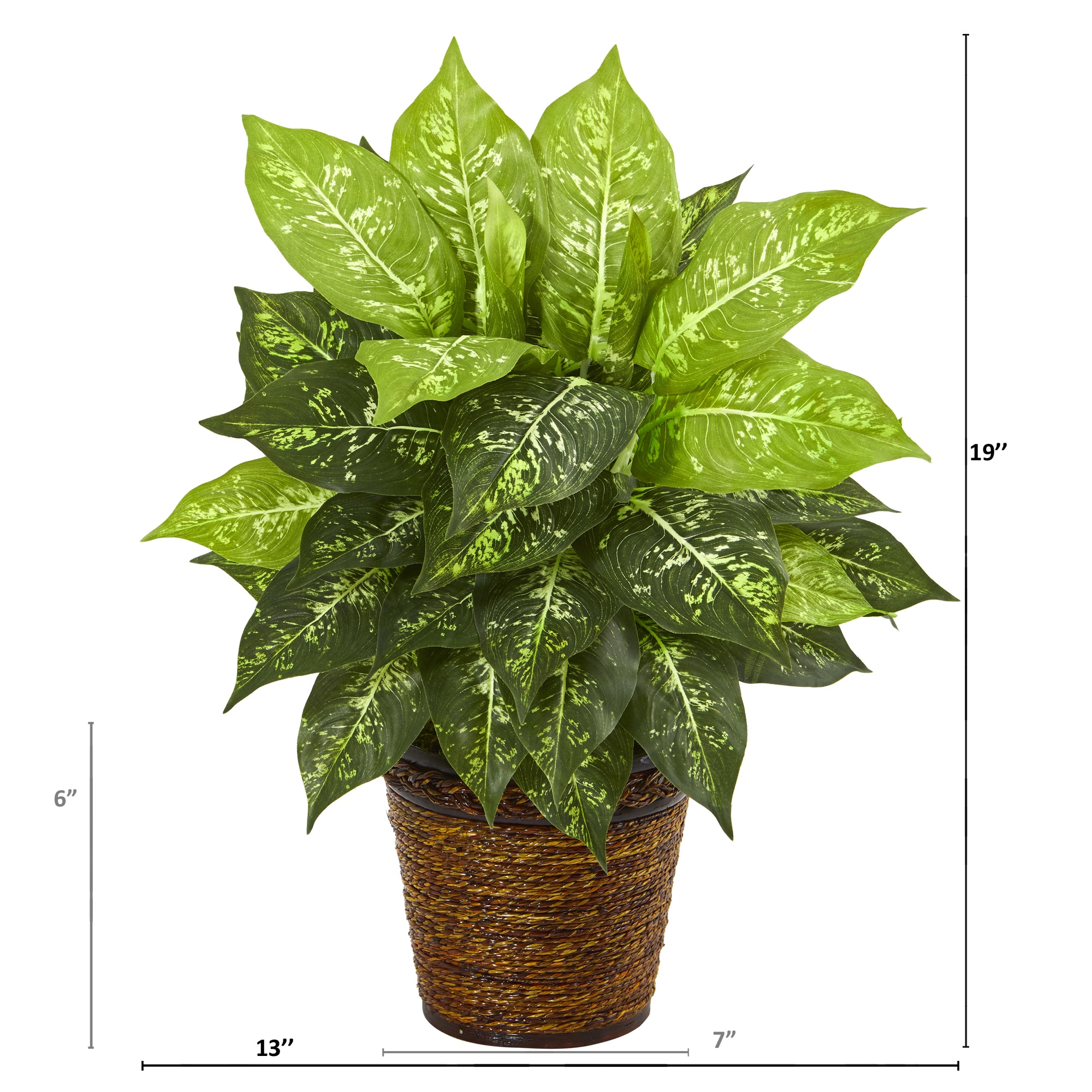 19 Inch Diffenbachia Artificial Plant Green Silk Leaves in Basket Planter - Image 2