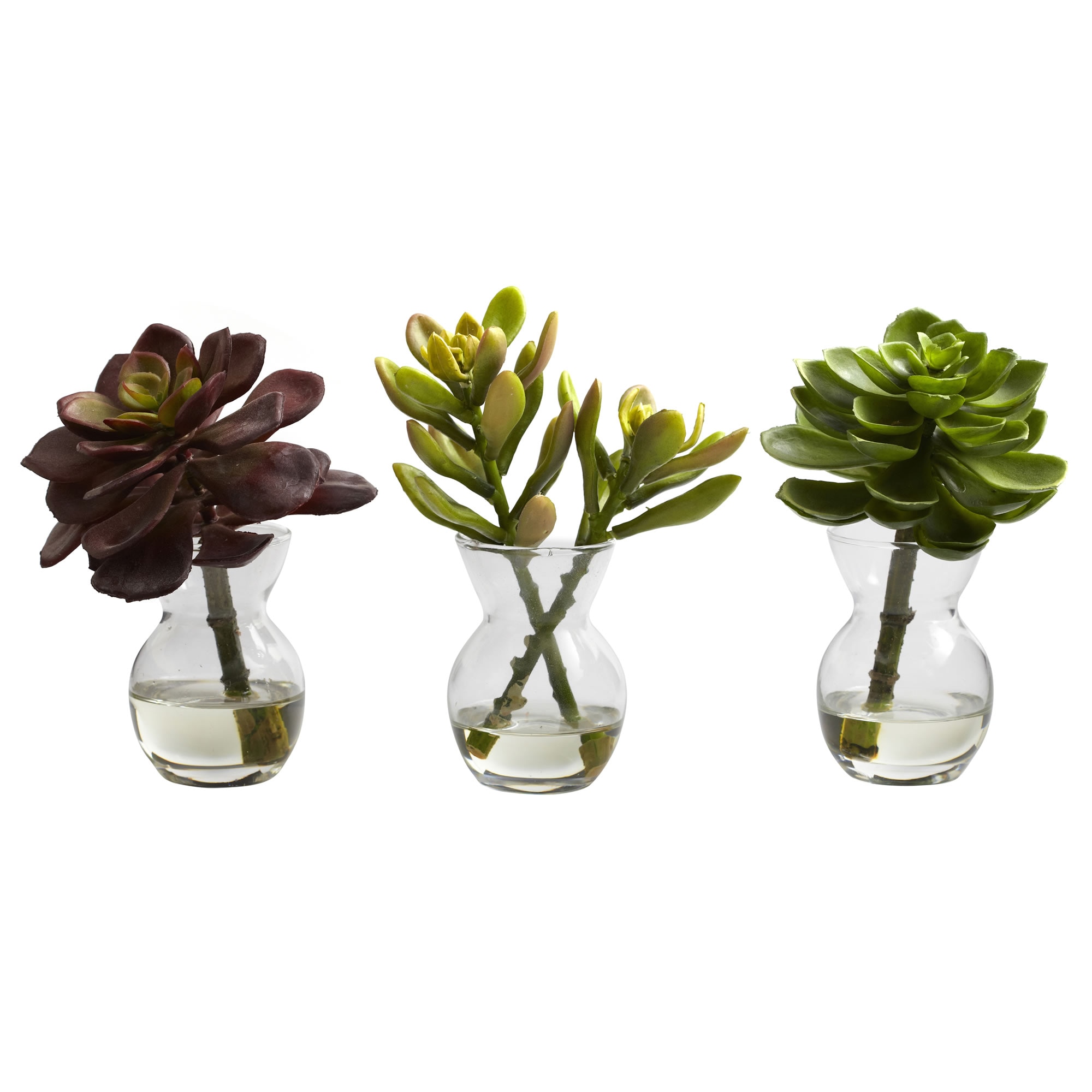 5.5 Inch Succulent Arrangements Set of 3 Faux Plants in Mini Vases with Liquid - Image 2