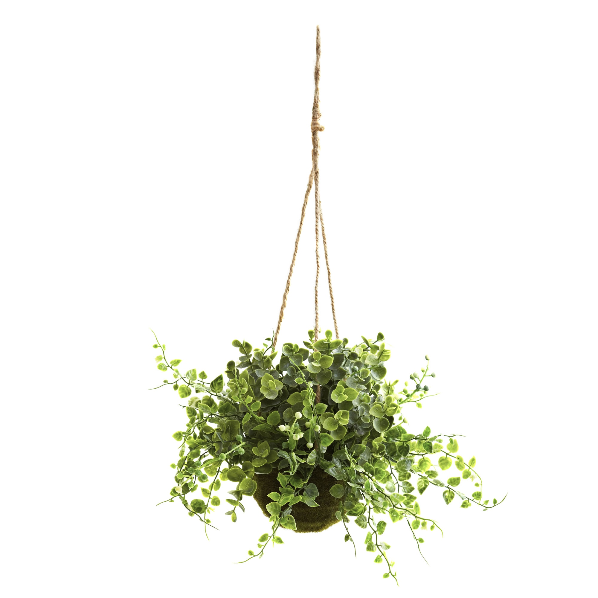 Eucalyptus Maiden Hair Berry Faux Hanging Basket Set of 3 Indoor Decor 9 Inch - Image 2
