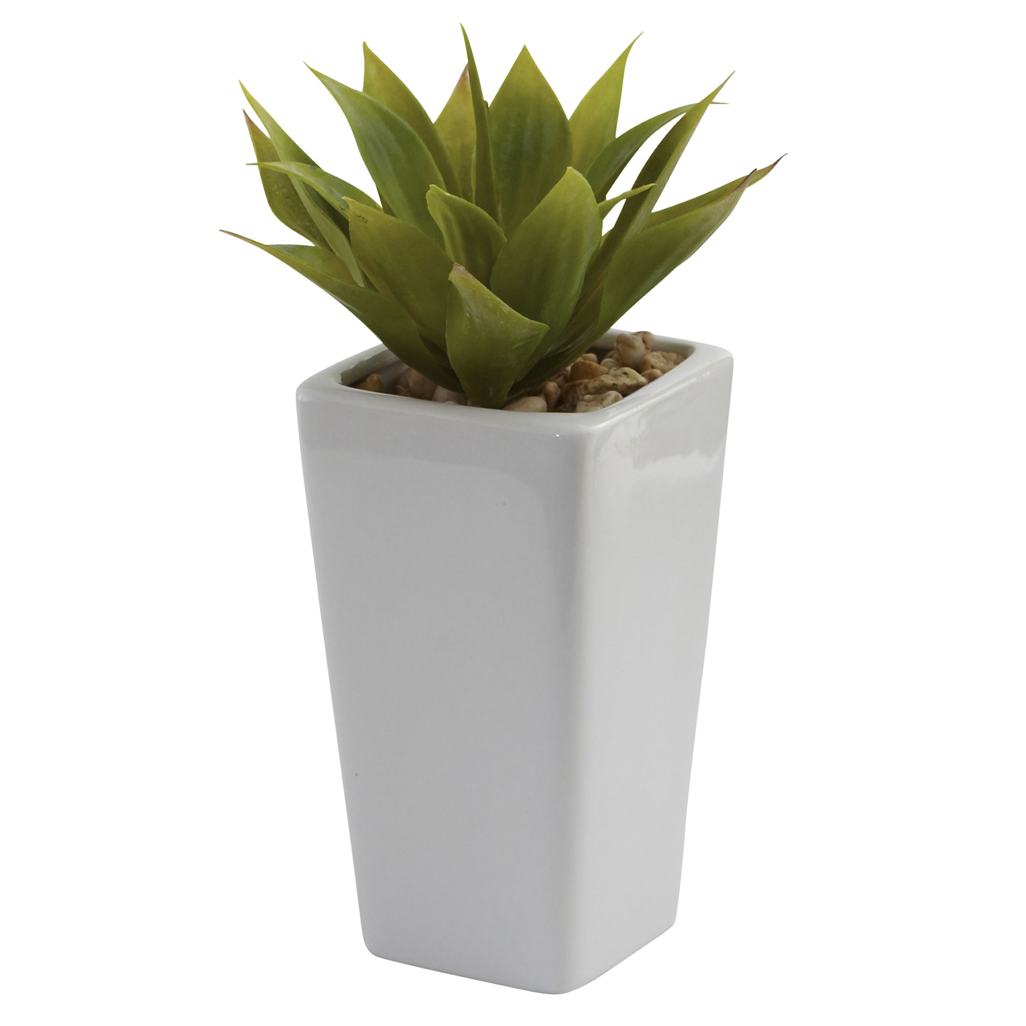 Mini Agave Plant Set of 3 White Planters 9 Inch Indoor Decor Succulent - Image 2