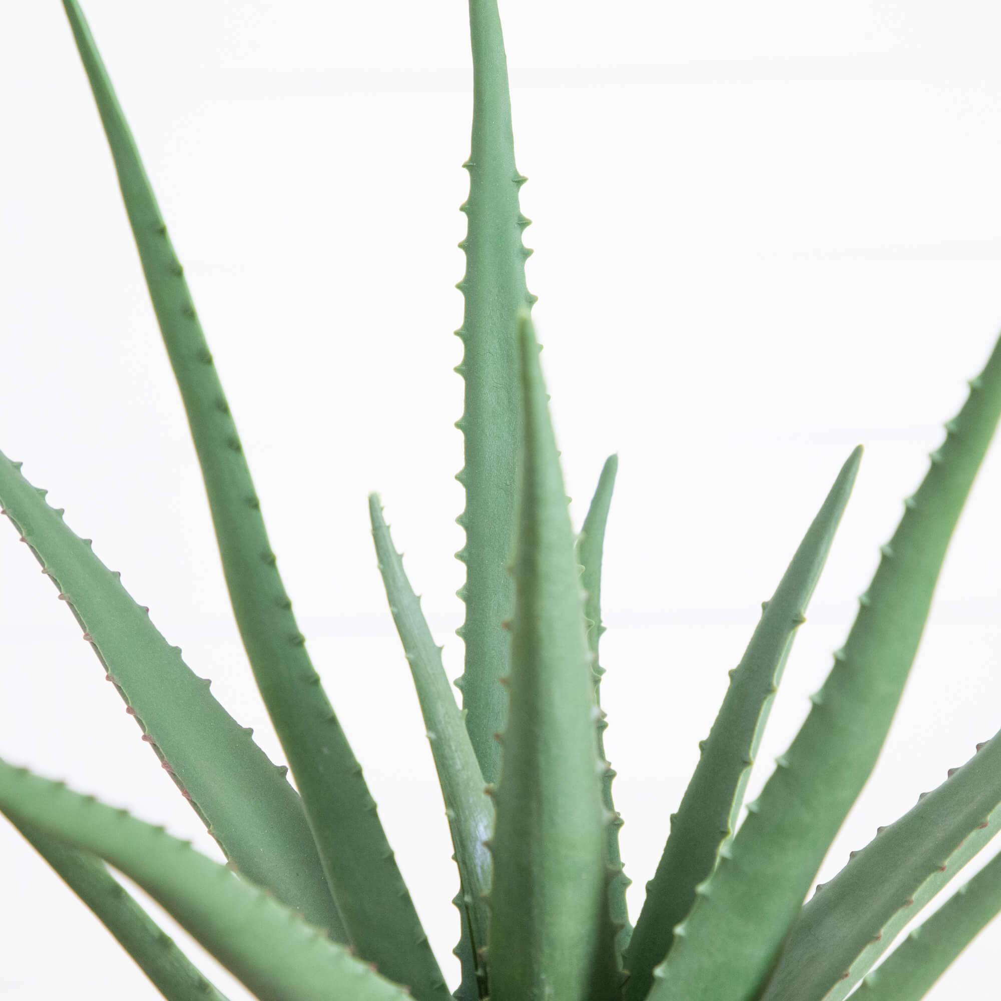 Artificial Agave Plant 17.5 Inch Spiky Leaves Desktop Decor with Planter - Image 3