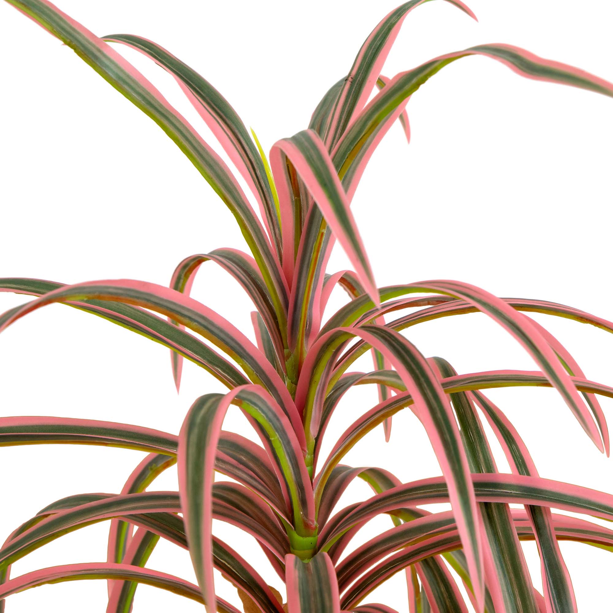 2 Foot Artificial Dracaena Marginata Plant Lifelike Indoor Desktop Decor - Image 3