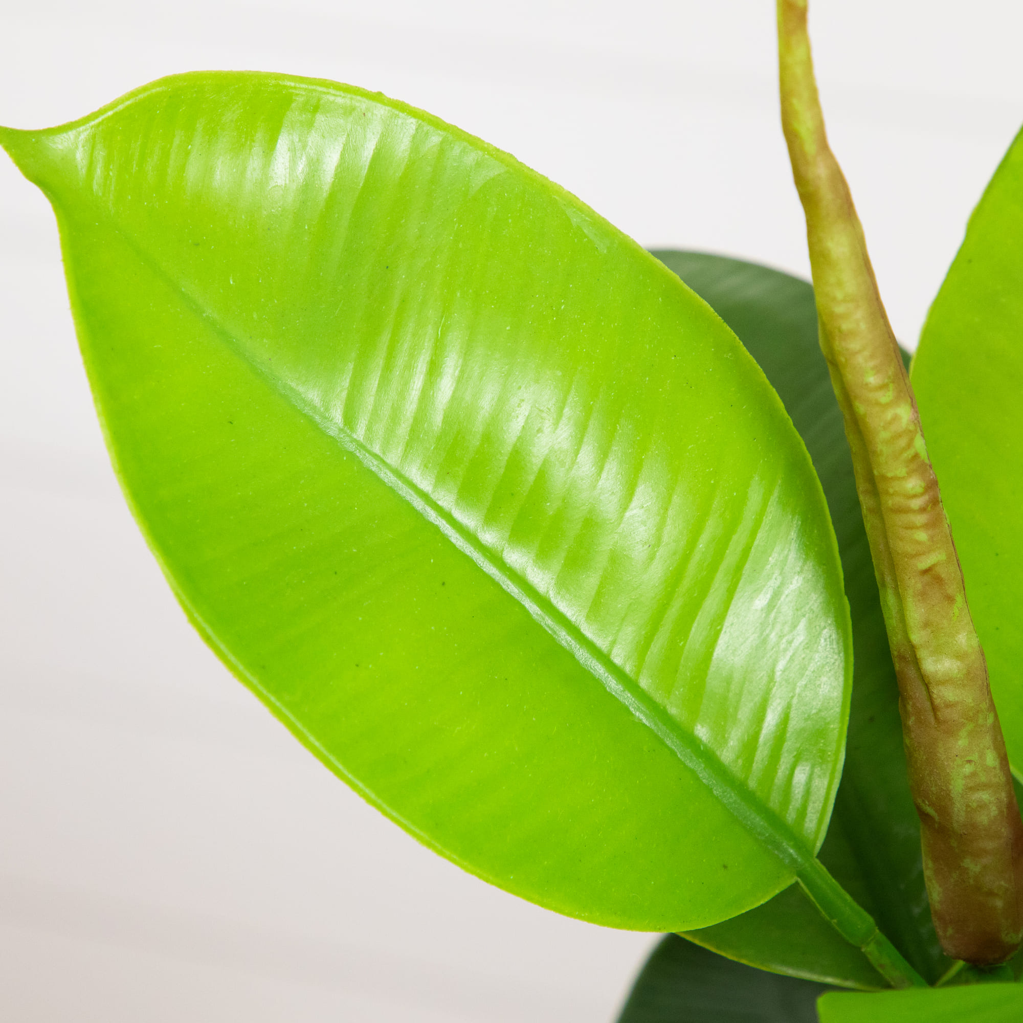 20-In Artificial Fiddle Leaf Fig Plant with Vanilla Plastic Planter Indoor Decor - Image 3