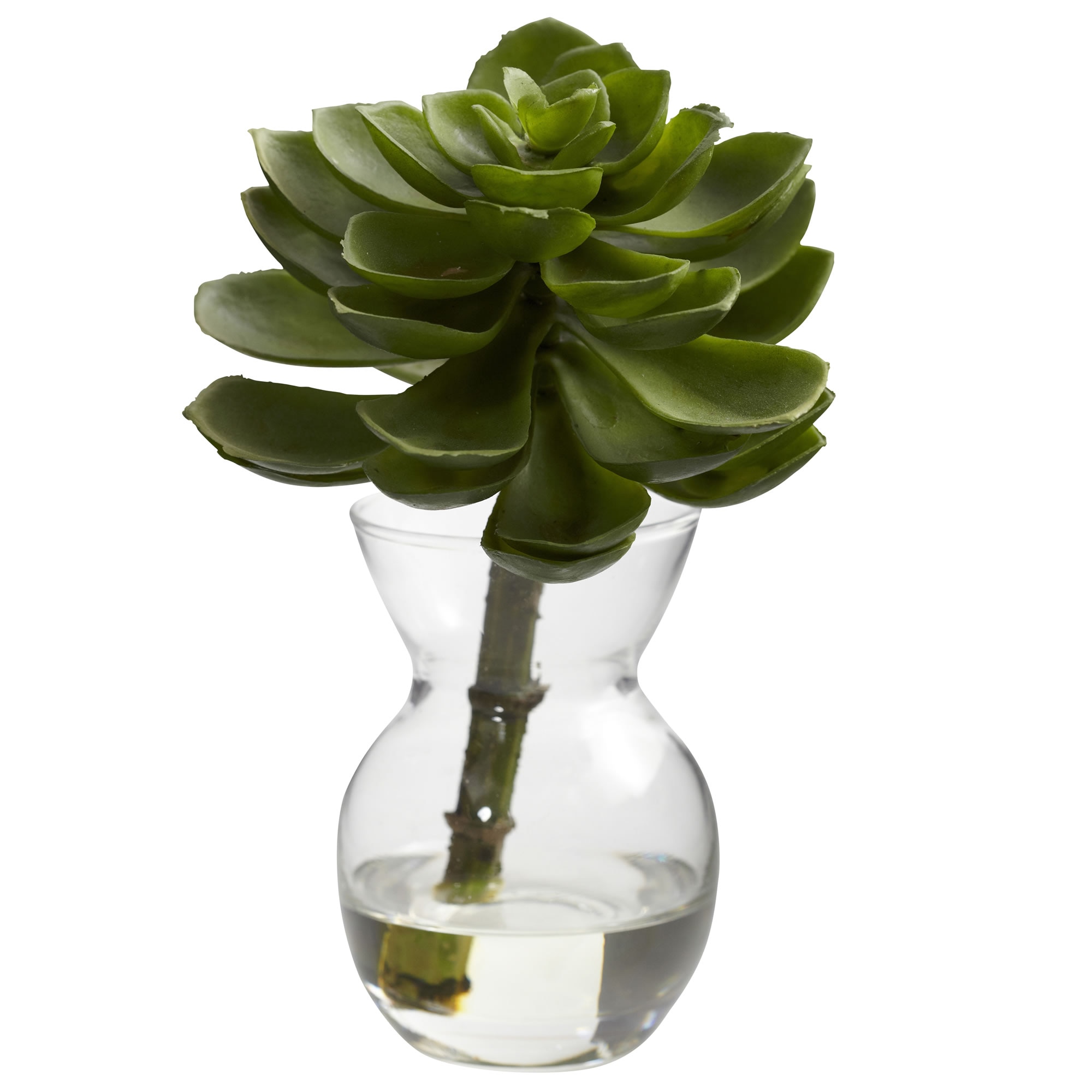5.5 Inch Succulent Arrangements Set of 3 Faux Plants in Mini Vases with Liquid - Image 3