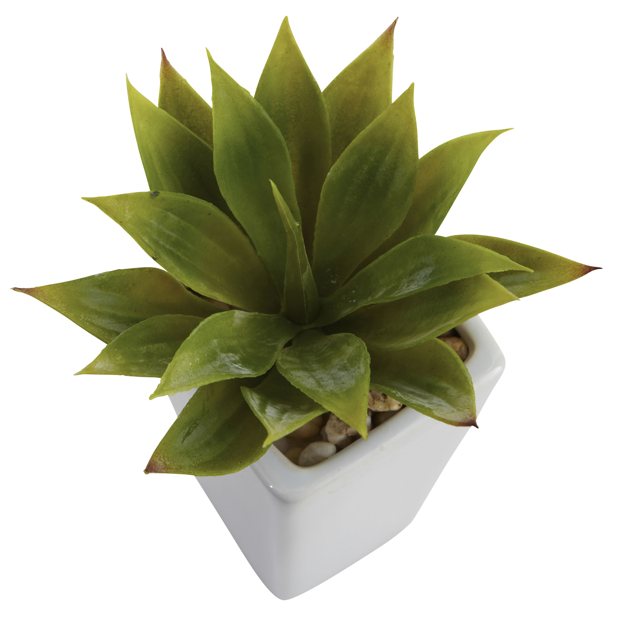 Mini Agave Plant Set of 3 White Planters 9 Inch Indoor Decor Succulent - Image 3
