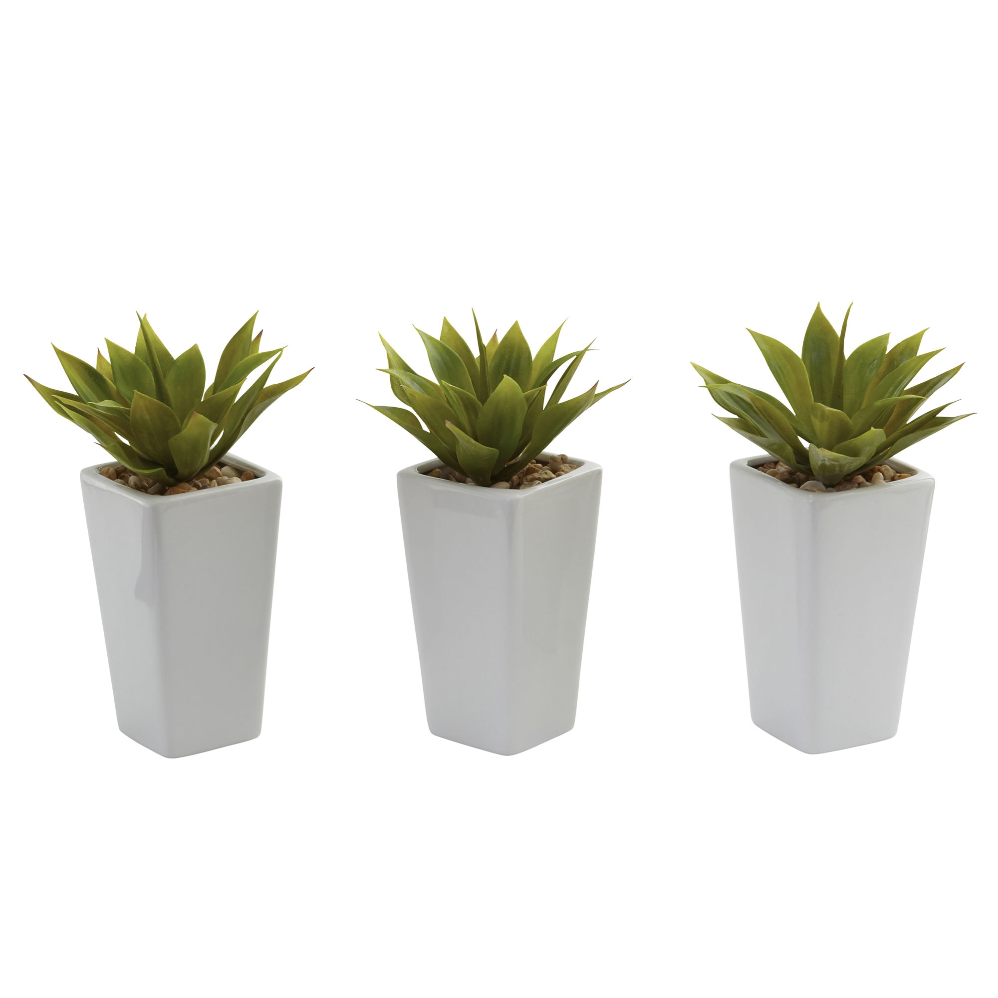 Mini Agave Plant Set of 3 White Planters 9 Inch Indoor Decor Succulent - Image 4