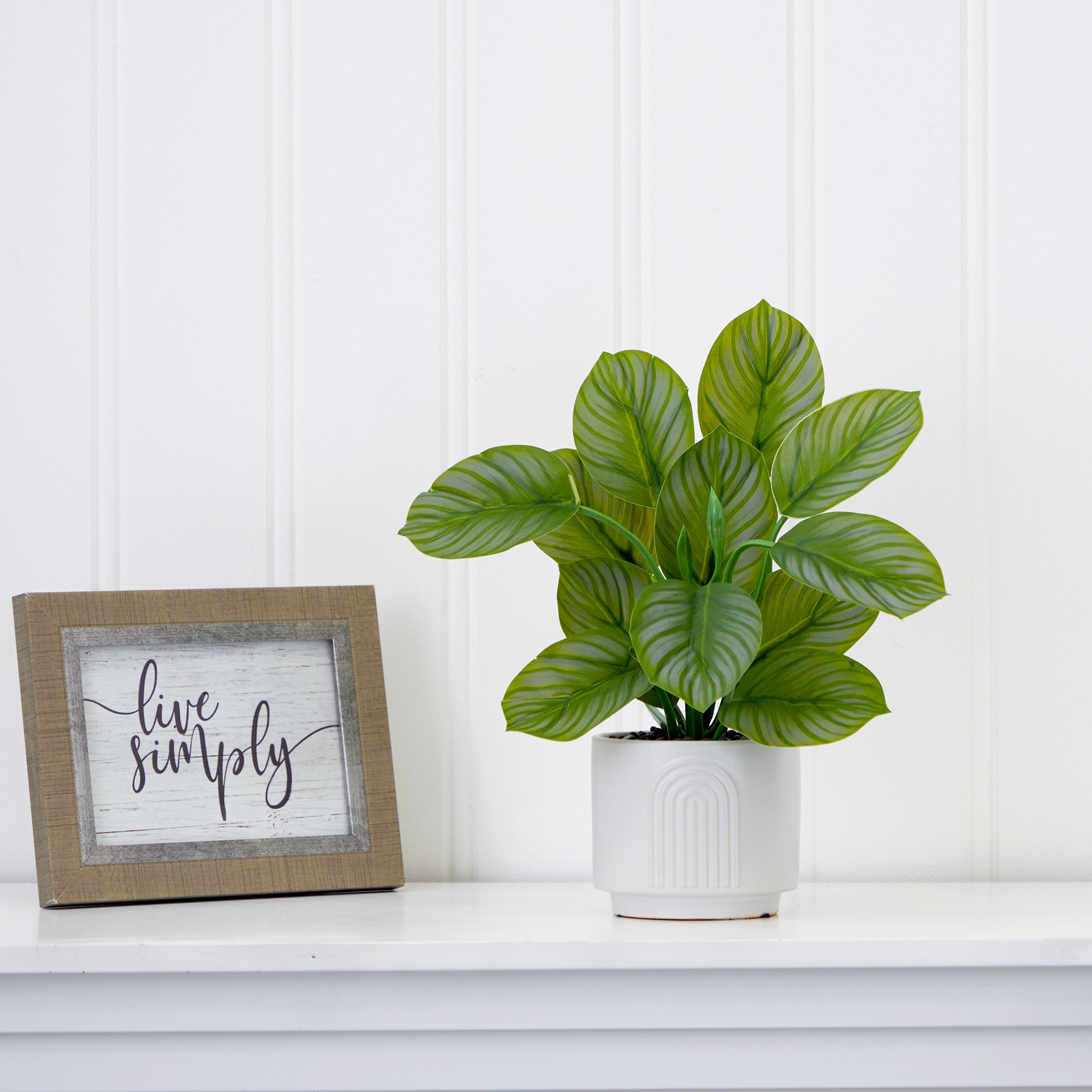 12 Inch Artificial Calathea Plant with Decorative Planter Tropical Leaf Pattern - Image 4