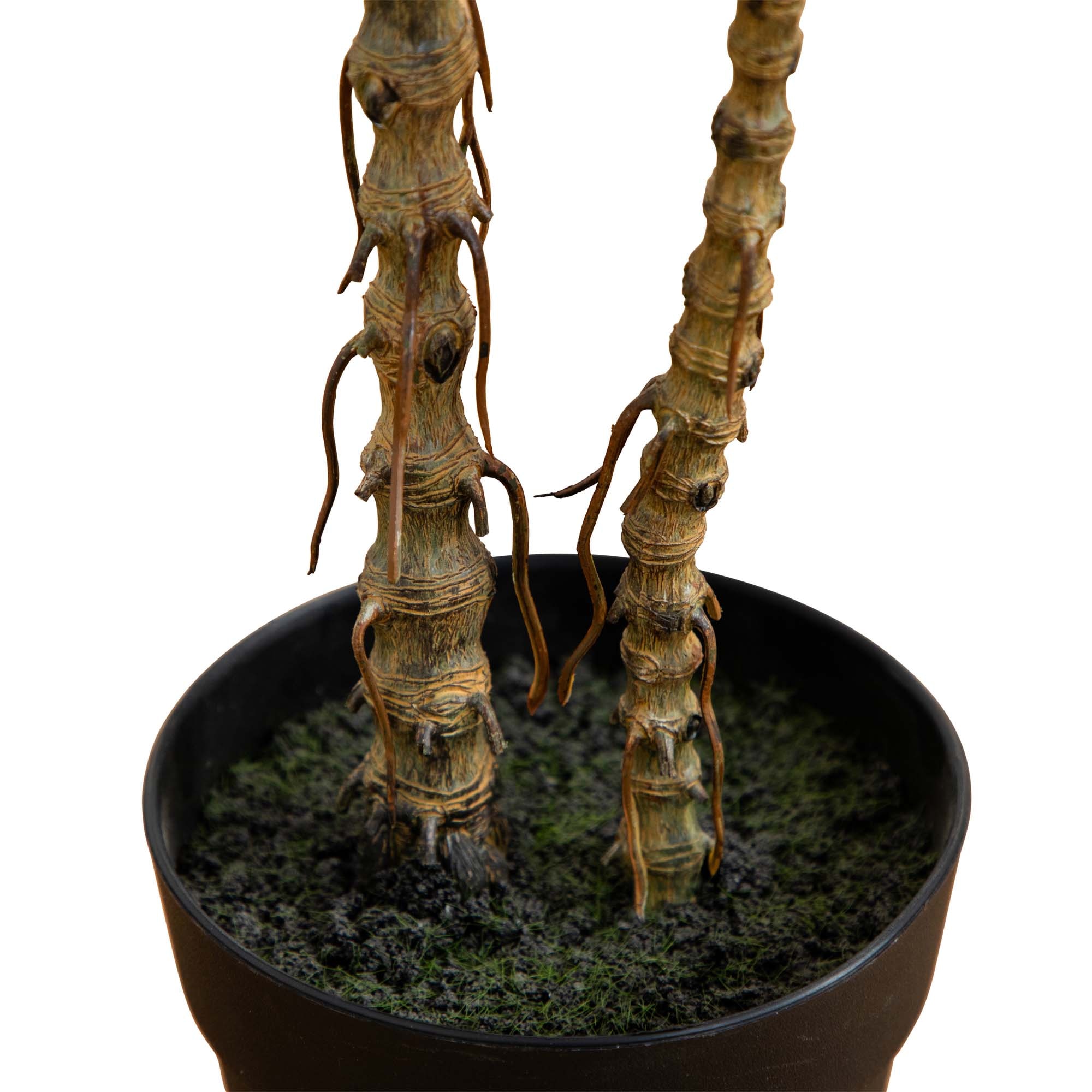 2 Foot Artificial Dracaena Marginata Plant Lifelike Indoor Desktop Decor - Image 4