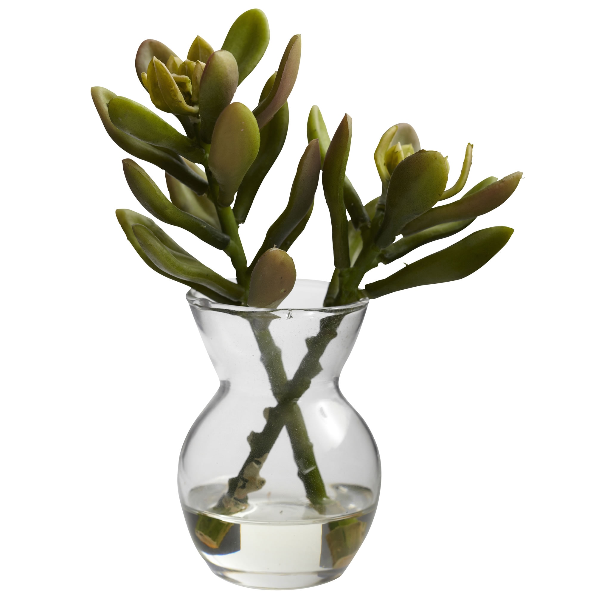 5.5 Inch Succulent Arrangements Set of 3 Faux Plants in Mini Vases with Liquid - Image 5