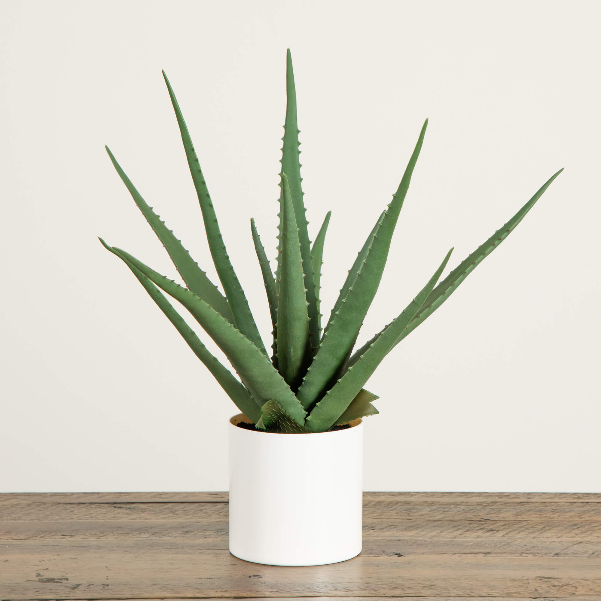 Artificial Agave Plant 17.5 Inch Spiky Leaves Desktop Decor with Planter - Image 6