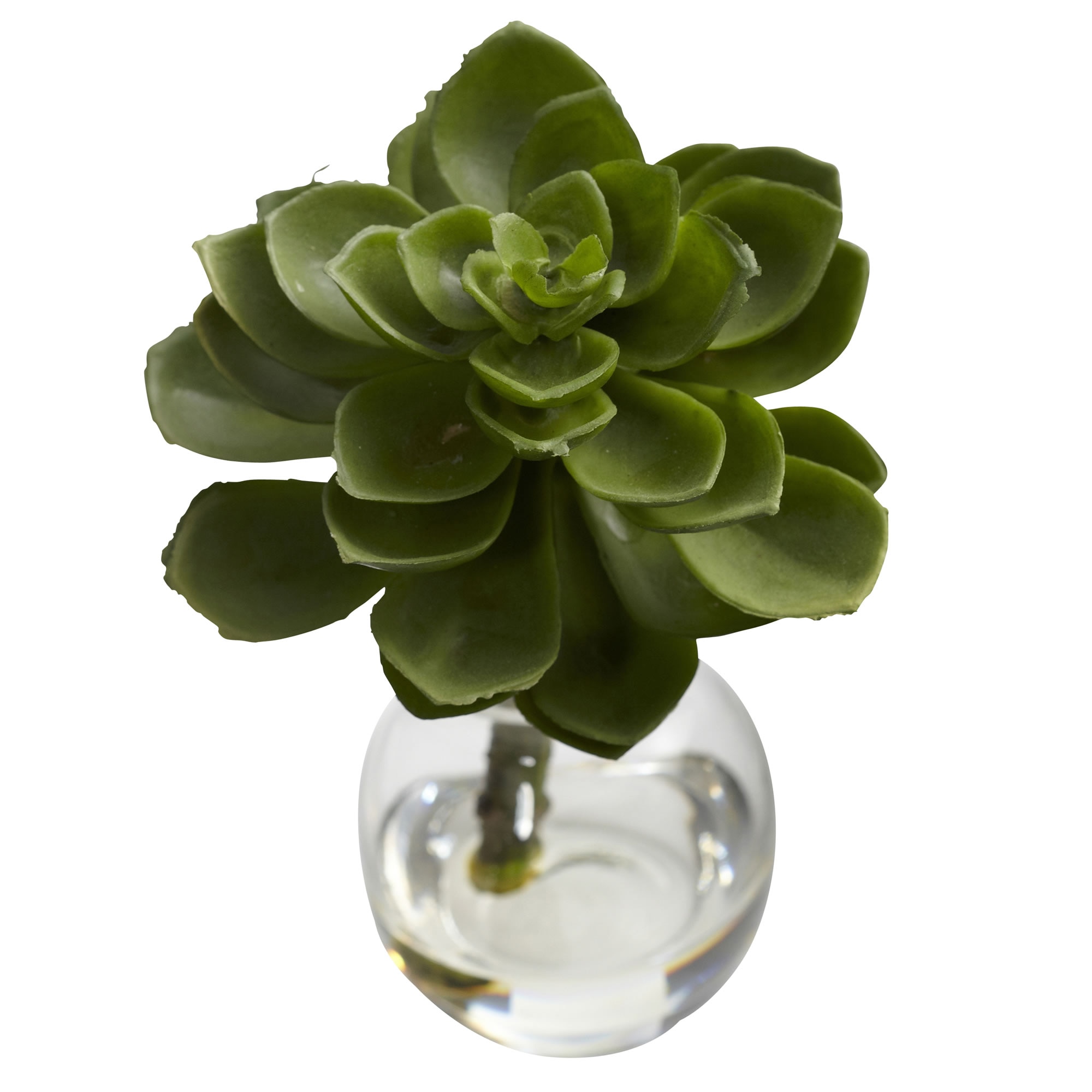 5.5 Inch Succulent Arrangements Set of 3 Faux Plants in Mini Vases with Liquid - Image 6