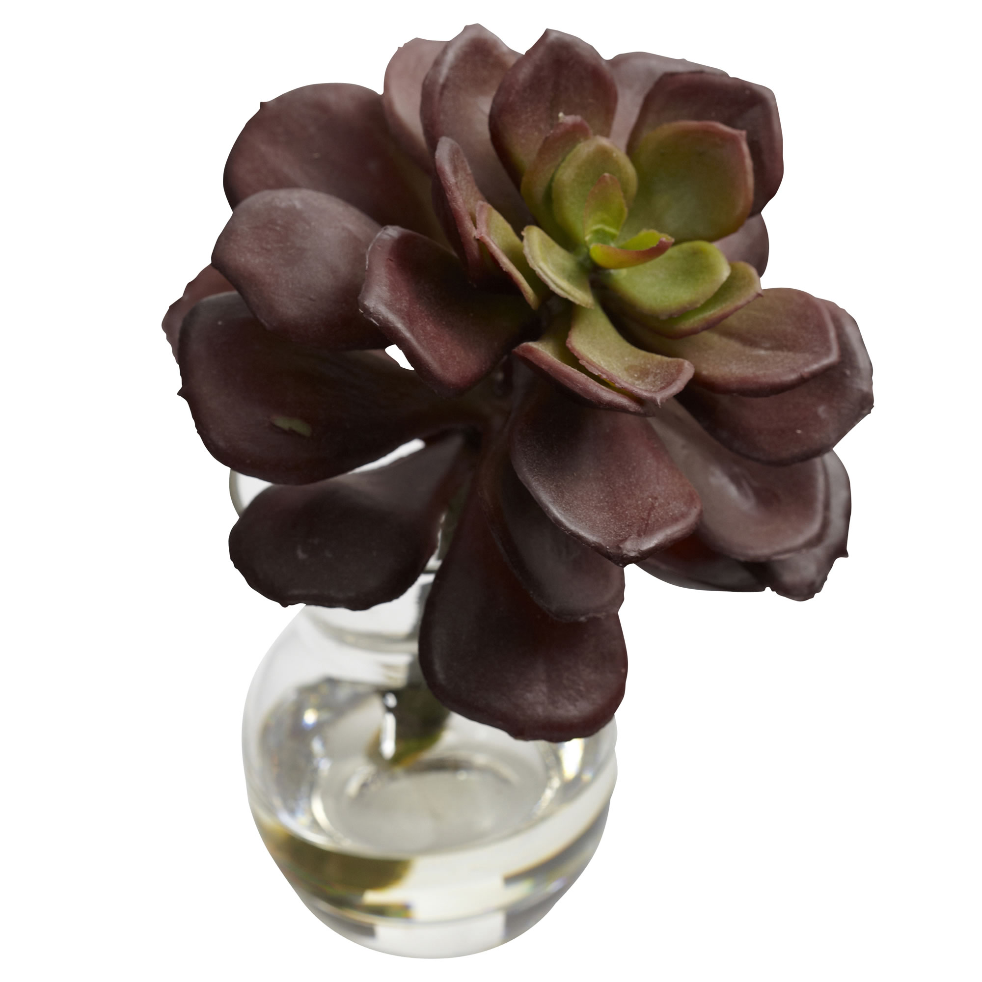 5.5 Inch Succulent Arrangements Set of 3 Faux Plants in Mini Vases with Liquid - Image 7