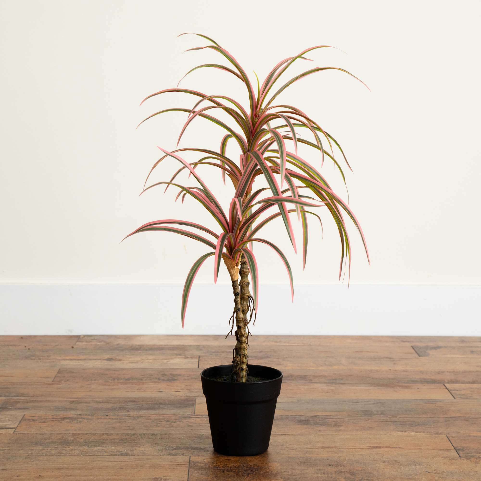 2 Foot Artificial Dracaena Marginata Plant Lifelike Indoor Desktop Decor - Image 8