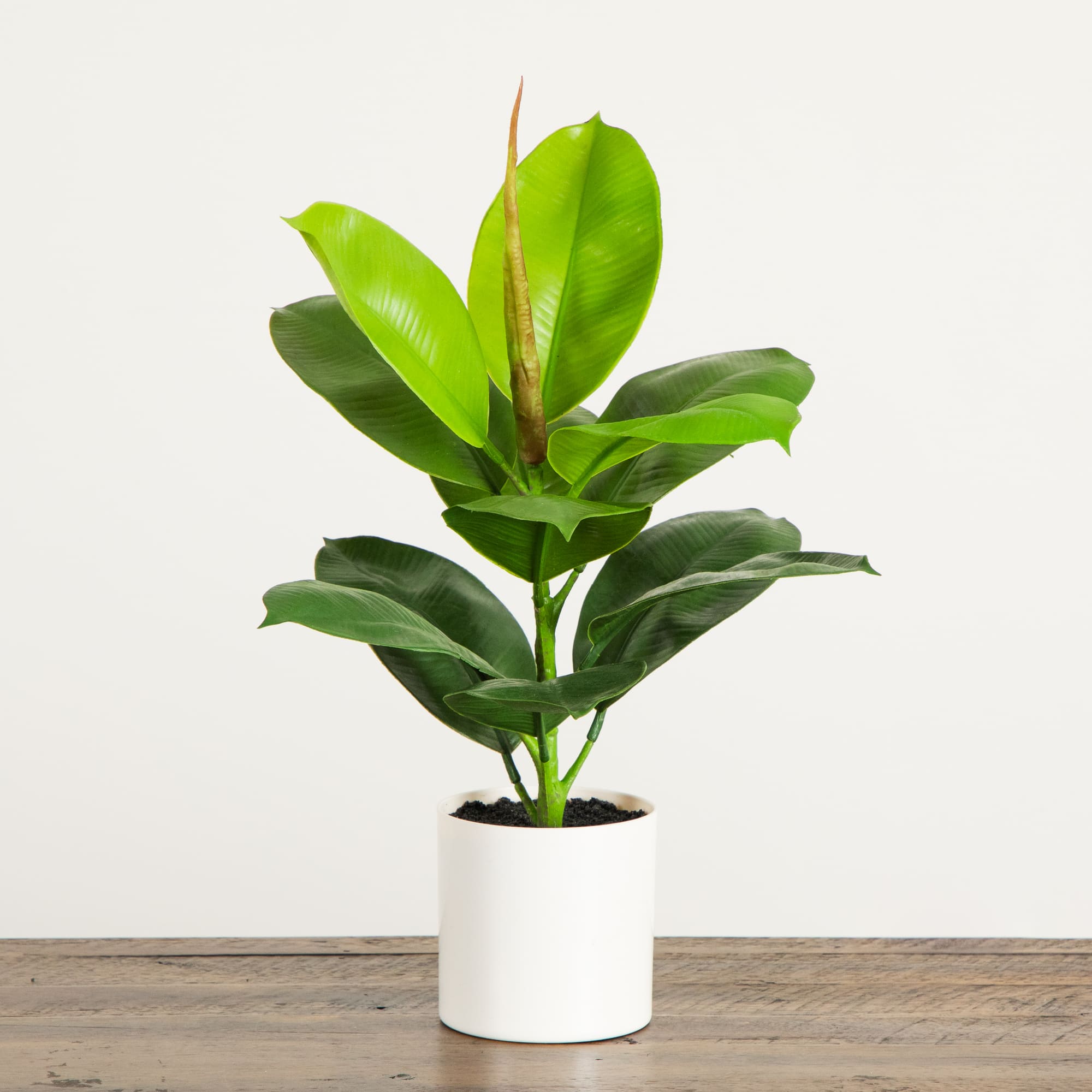 20-In Artificial Fiddle Leaf Fig Plant with Vanilla Plastic Planter Indoor Decor - Image 8