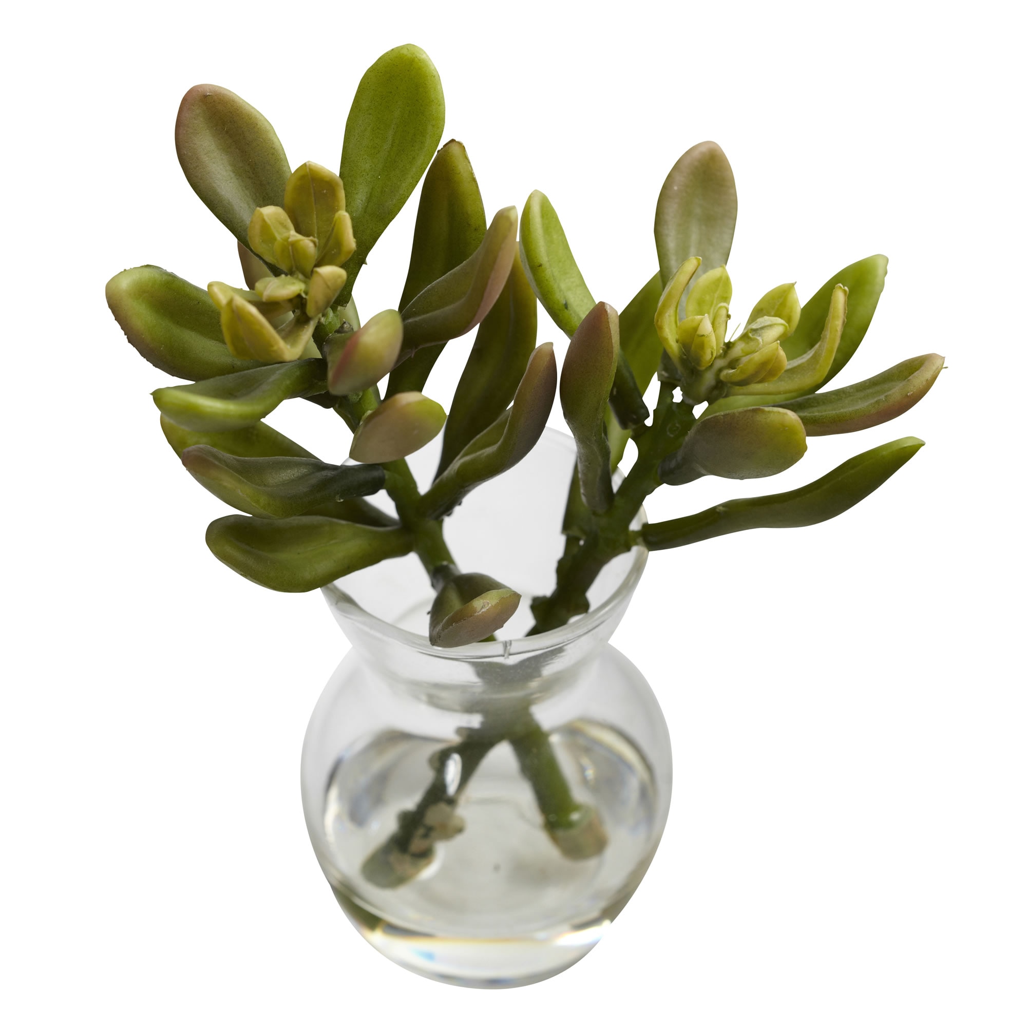 5.5 Inch Succulent Arrangements Set of 3 Faux Plants in Mini Vases with Liquid - Image 8