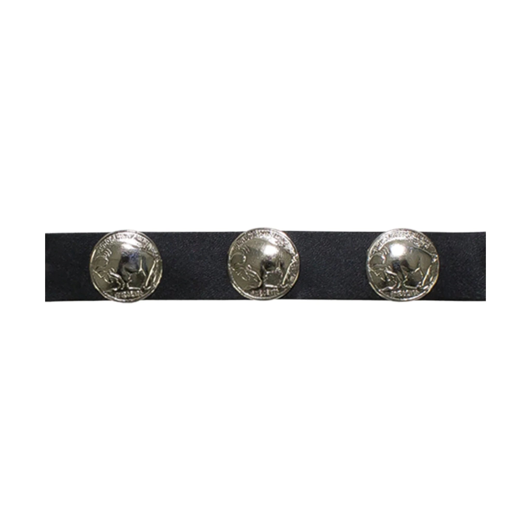 Buffalo Nickel Boot Chain - Image 3
